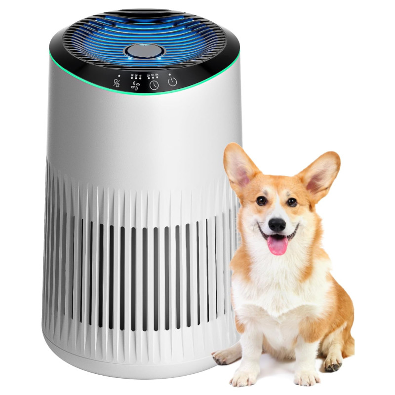 Amazon is selling a $200 air purifier for only $36, and shoppers praise the small yet effective system