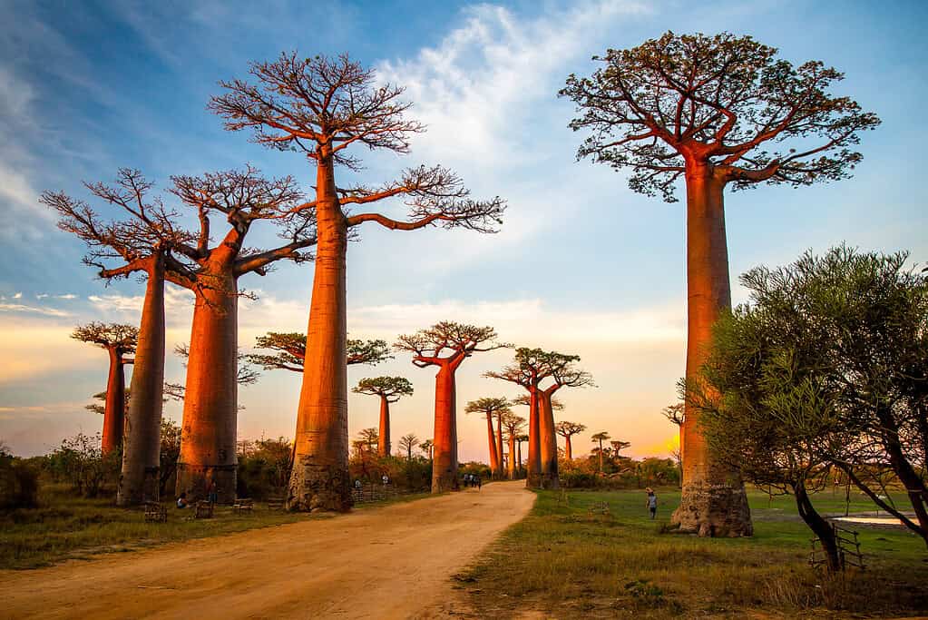 Poorest Countries in the World 2025