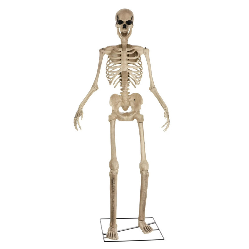 Walmart is selling a giant skeleton for only $238, and it's a must-have for Halloween
