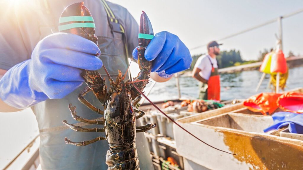Major seafood company files for Chapter 11 bankruptcy